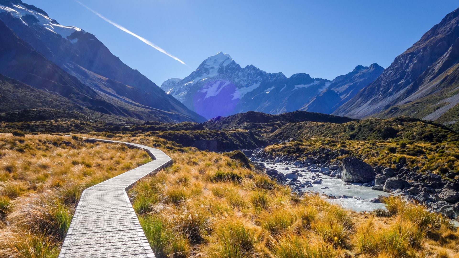 Top 5 Beginner-Friendly Summer Hikes in New Zealand for Modest Explorers